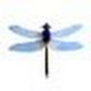 Meet your Posher, Marcella